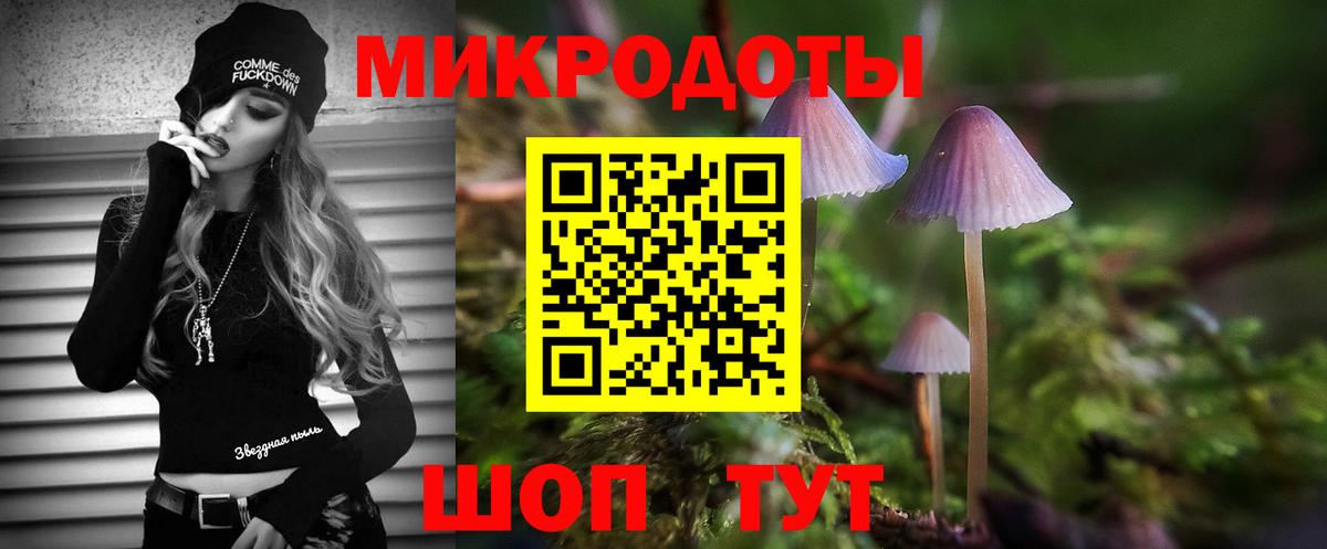 Нижний Тагил  Псилоцибиновые грибы Psilocybine cubensis  Вход с VPN 